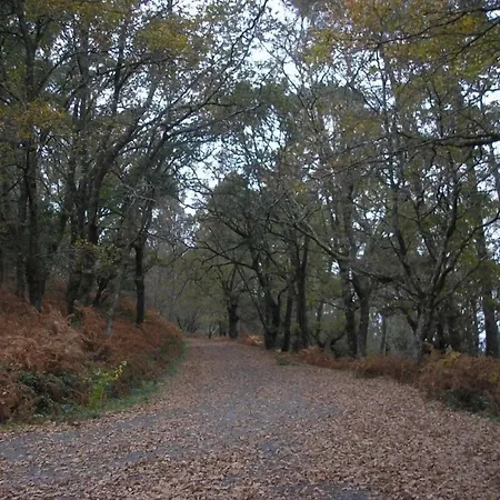 Casa rural Casa Goris *