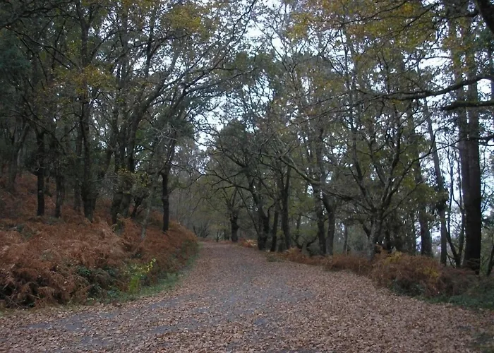 Kır Evi Casa Goris *